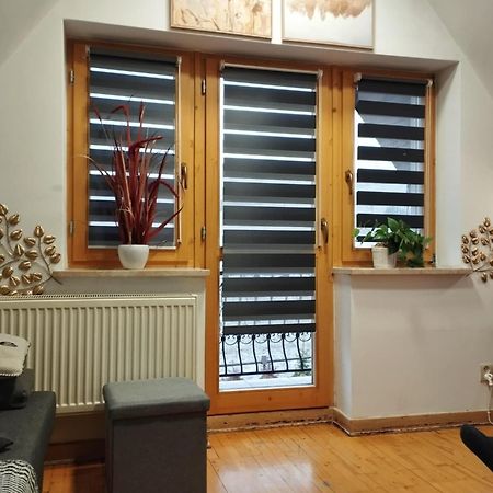 Willa Czajka - Widokowe Apartamenty Zakopane Dış mekan fotoğraf