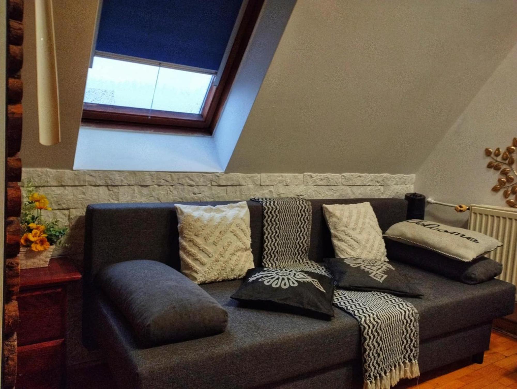 Willa Czajka - Widokowe Apartamenty Zakopane Dış mekan fotoğraf